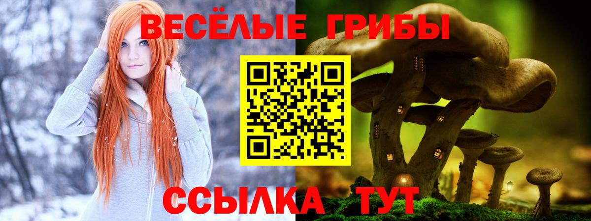 Псилоцибиновые грибы Psilocybine cubensis Стрежевой